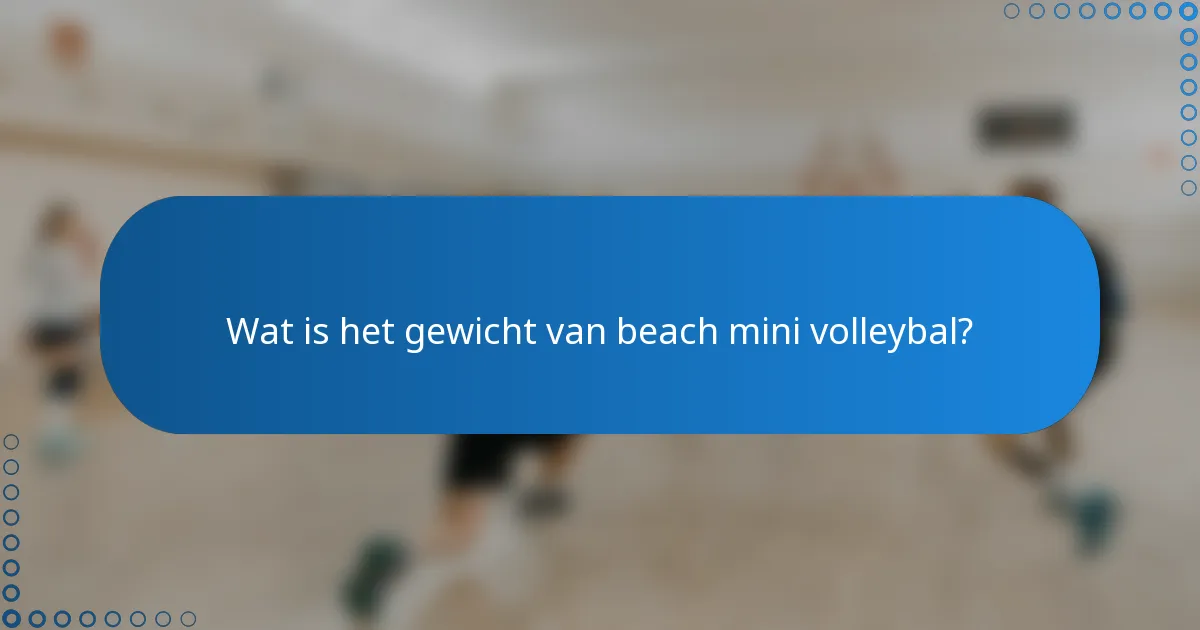 Wat is het gewicht van beach mini volleybal?
