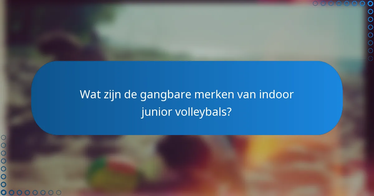 Wat zijn de gangbare merken van indoor junior volleybals?