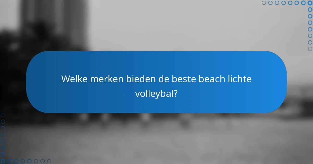 Welke merken bieden de beste beach lichte volleybal?