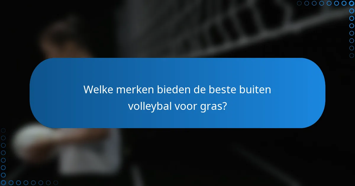 Welke merken bieden de beste buiten volleybal voor gras?