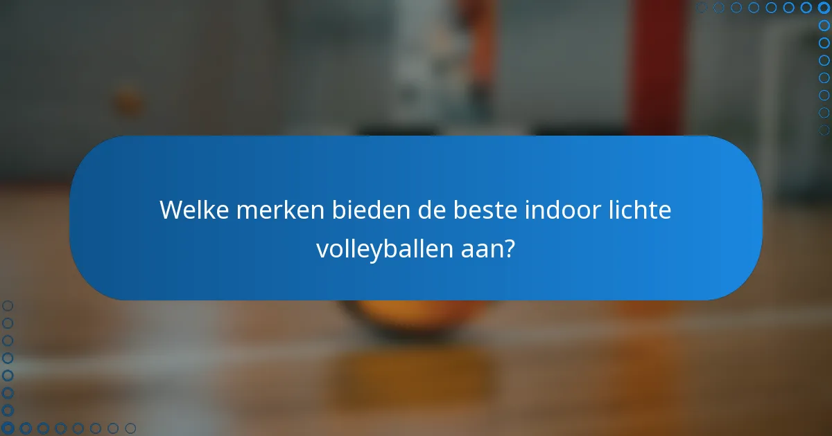 Welke merken bieden de beste indoor lichte volleyballen aan?