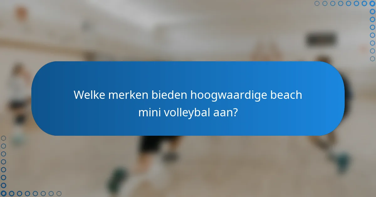 Welke merken bieden hoogwaardige beach mini volleybal aan?