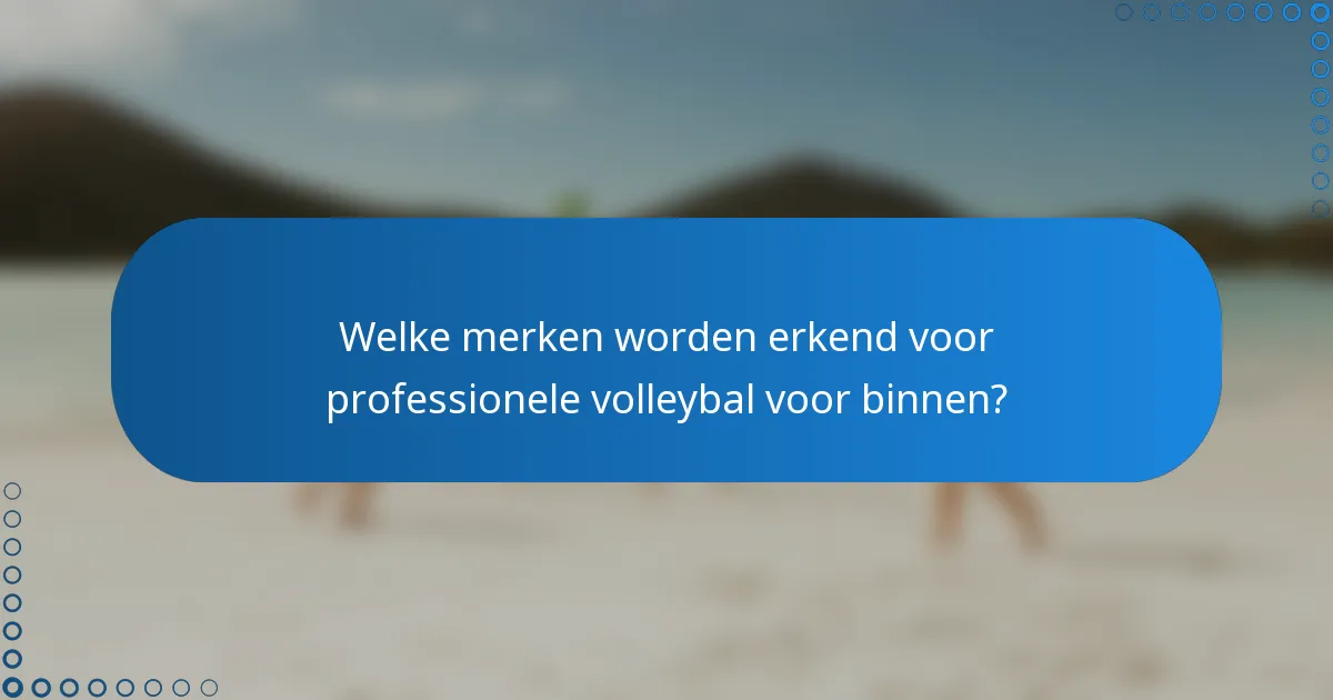 Welke merken worden erkend voor professionele volleybal voor binnen?