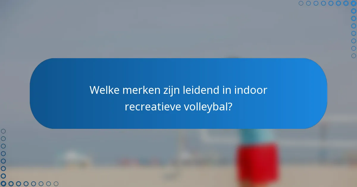 Welke merken zijn leidend in indoor recreatieve volleybal?